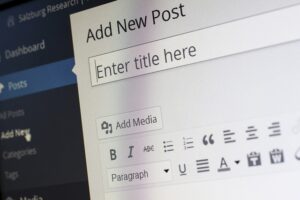 word press me blog post kaise likhe