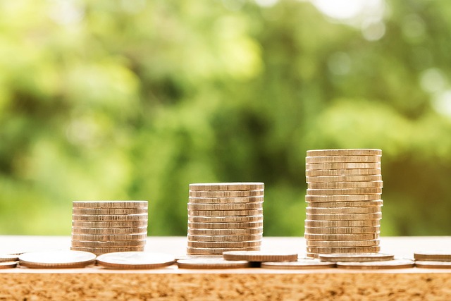 how to control debt management